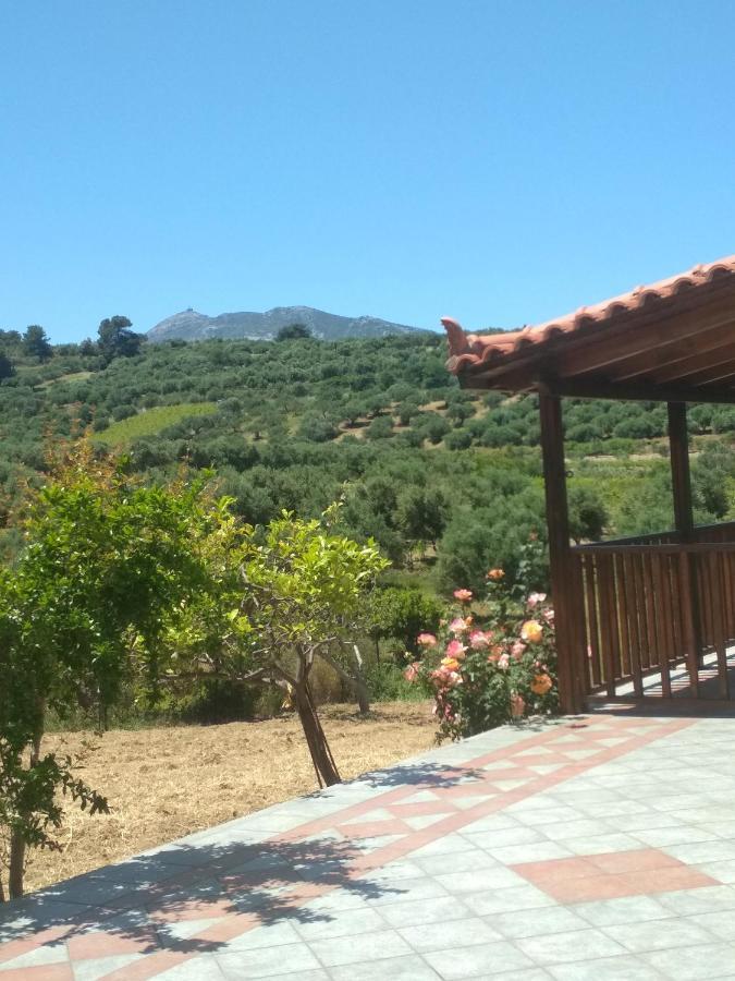 Eden Garden Villa Near Knossos Skalanion Экстерьер фото